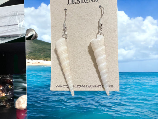 Authentic Natural Turret Seashell Earrings